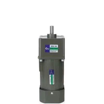 220V AC prestavni motor